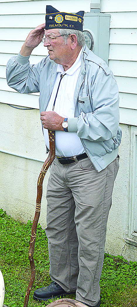 Walking stick