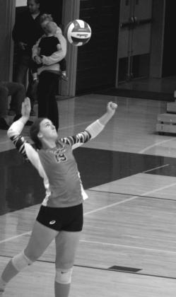 Allison Aulick serves up an ace for the Ladycats. Photo courtesy of Sam McClanahan and Will Jones/10thregion.com