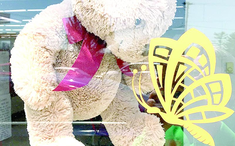 bear and butterfly