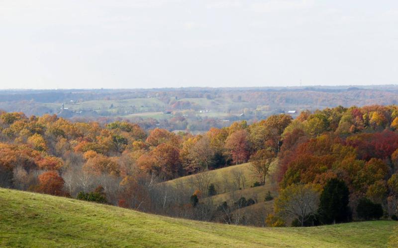Fall Valley Lisa Arnold