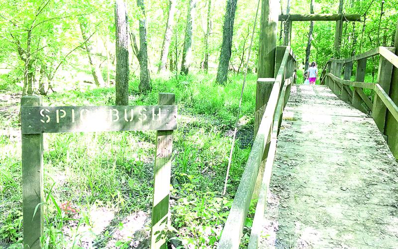 Kincaid has wooden hiking trails