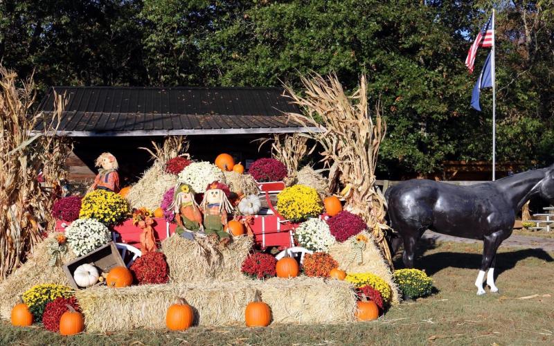 Thousands enjoy the crafts, food and music of the Kentucky Wool Festival