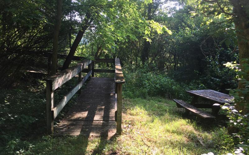 Sharp MIddle School trail