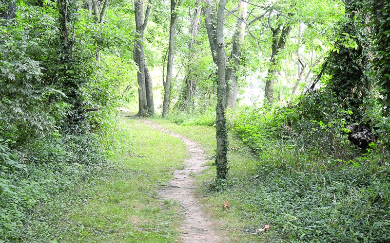 The winding trails of South Fork Trail meanders along the Licking River