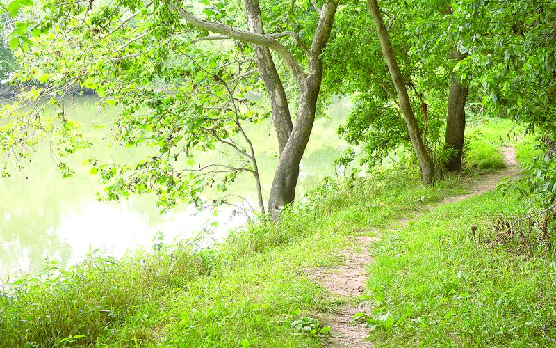 The flowing waters of the Licking River continue to make appearances along the trail