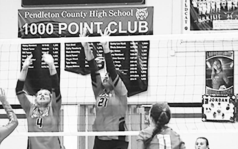 Net Shot
