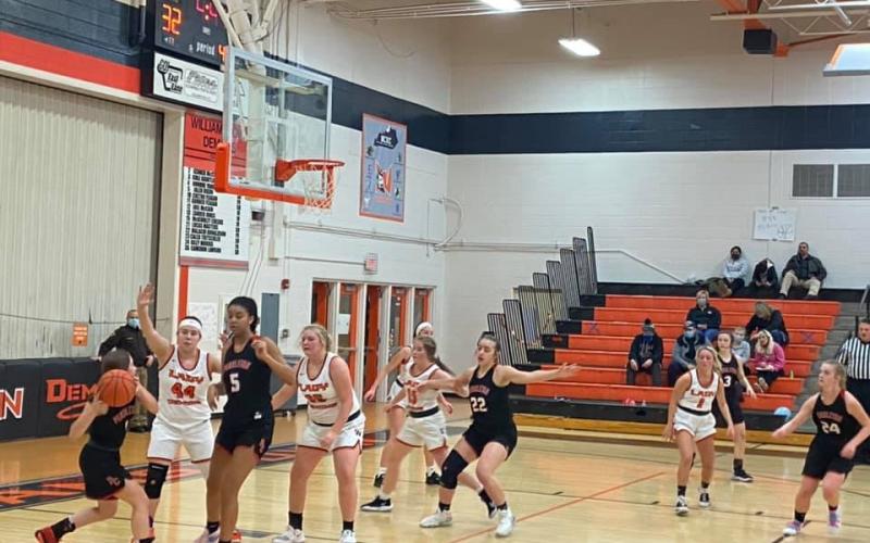 Ladycats