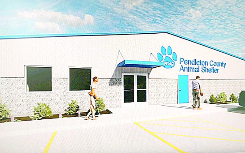 Animal Shelter