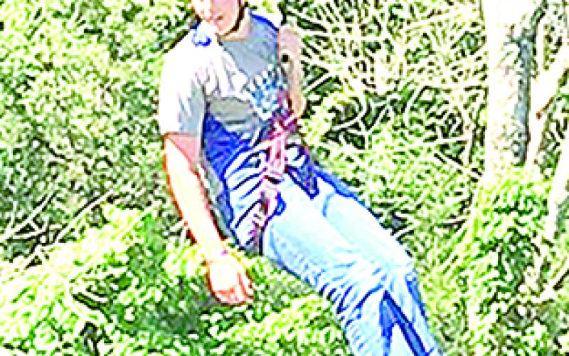 Zip Line