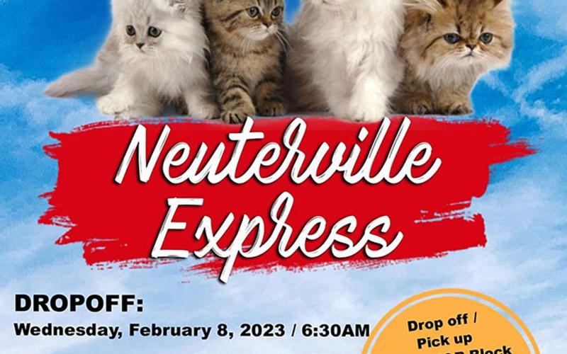 Free for strays / $55 for pets