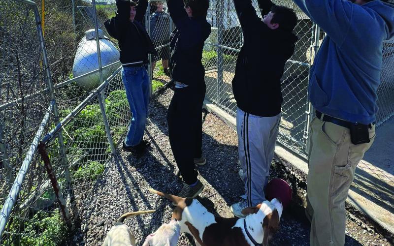 Currently, the shelter has 14 dogs who need homes. Please contact the shelter at 859-654-5400, or see Facebook for pictures and stats on available dogs.