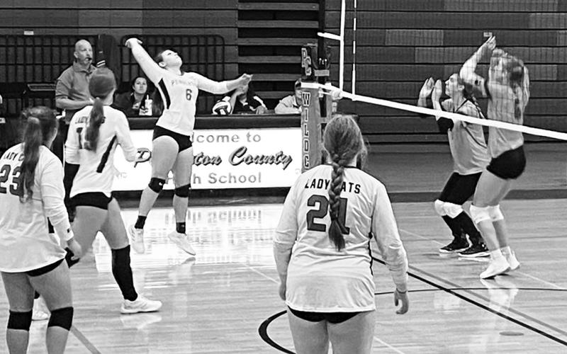 Above: Junior Jayla McIlvain looks to score points for the Ladycats. Below: Junior Allison Aulick attacks the net. Photos provided by Haley Verst.