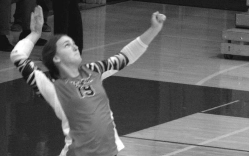 Allison Aulick serves up an ace for the Ladycats. Photo courtesy of Sam McClanahan and Will Jones/10thregion.com