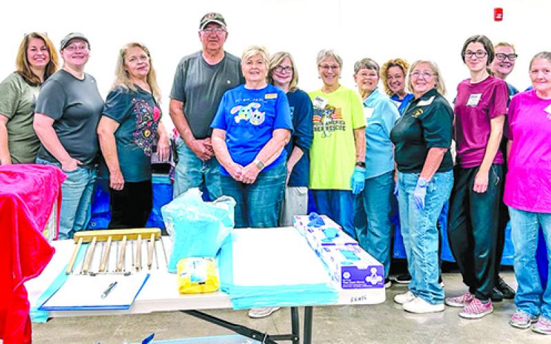 Community Takes Action - Cat Population Problem!