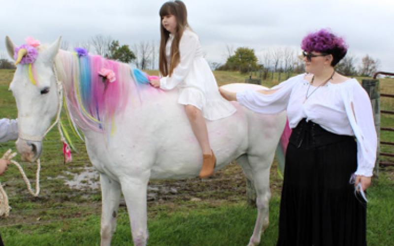 Unicorn event at local farm