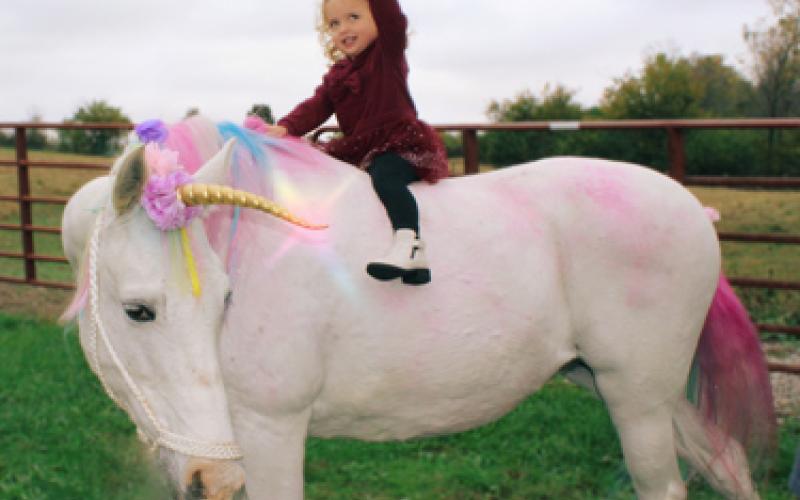 Unicorn event at local farm