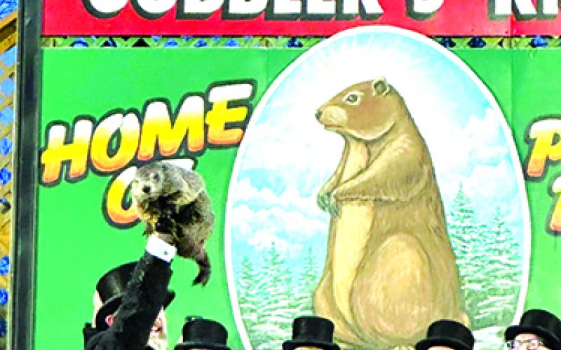 Punxsutawney Phil is held aloft as the Inner Circle and gathered crowd cheer Feb. 2 in Punxsutawney, Pennsylvania. The celebrated groundhog predicted an early spring, according to Groundhog Club President Shingle Shaker. Photo by Dr. Cecilia Duffy.