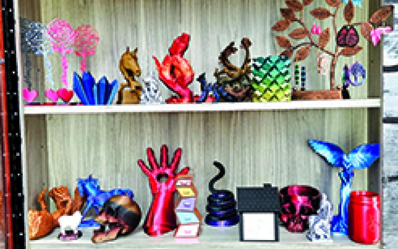 A display in the Pendleton County Public Library show a few of the items that have been printed with the new 3D imaging equipment.