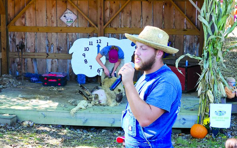 Joshua Trimboli explains the art of sheep shearing.