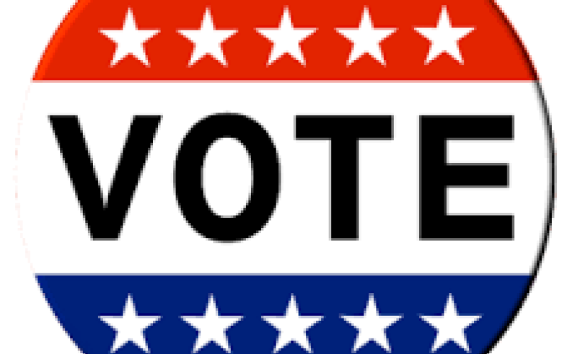 Amendment elections results