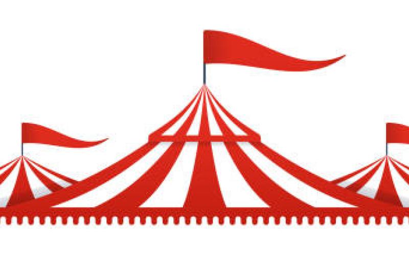 Carnival  returning to youth fair this June