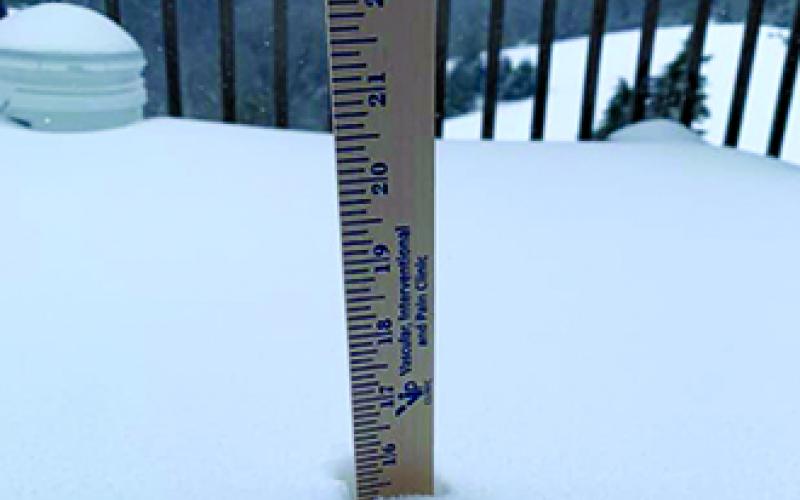 Posted by Pati Routh Fields from her home in the Falmouth area.