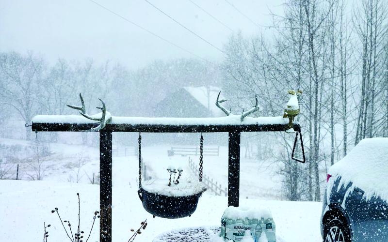 Janie Cantrell posted this scene from her home in Falmouth.