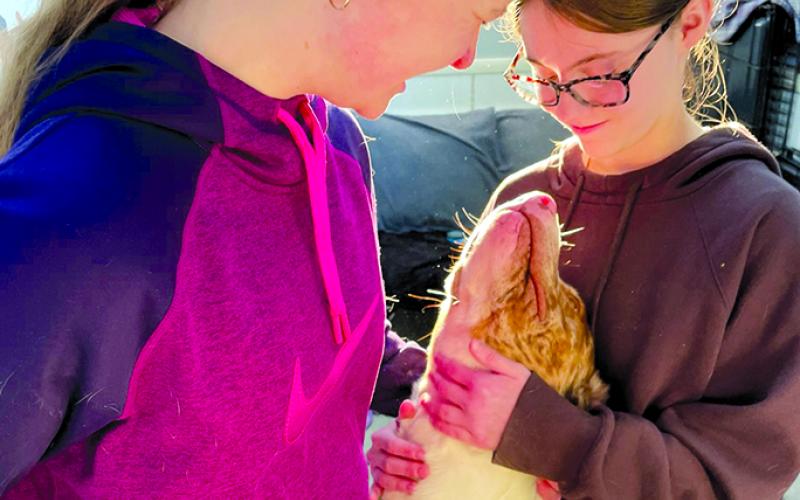 Sharp Middle School students Anna Hegyi and Kendall Cummins, members of the school Family, Career and Community Leaders of America club, play with Scribbles, one of the residents of the Pendleton County Animal Shelter awaiting adoption. The girls spearheaded a project to make toys for the dogs at the shelter. Photo by Nila Harris