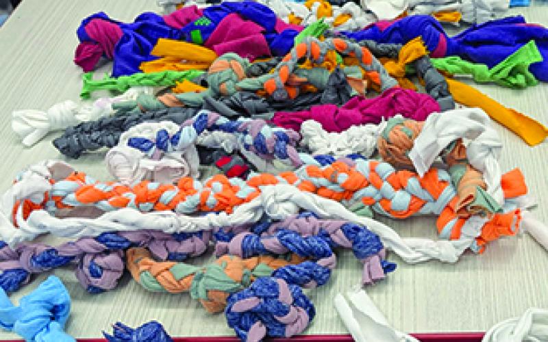 Some of the dog toys that FCCLA club members from Sharp Middle braided from old T-shirts. Each T-shirt can make three toys. Cummins and Hegyi picked up the craft from a YouTube video. Photo by Nila Harris