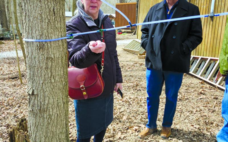 Marilyn Muir of Cincinnati catches a drip of sap on her fingertip to taste as her husband, Daryl, watches. The maple tree sap tastes a bit like water. Jeff Pettit of Faith Acres Farm said it takes about 60 gallons of sap to boil down to one gallon of sweet maple syrup.