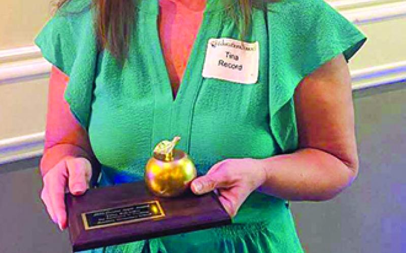 Media specialist makes difference in school libraries