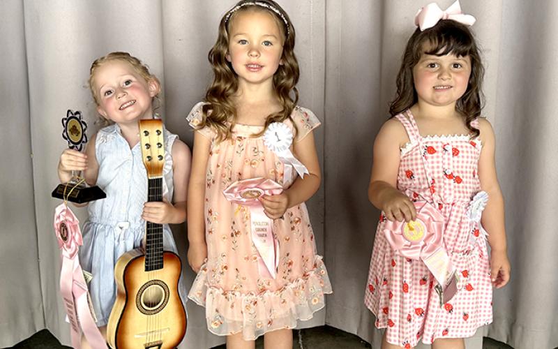 Petite Little Miss Cutie Pie is Marley Fields. First runner-up is Alexus Underwood and second runner-up is  Lainey Daughtery.