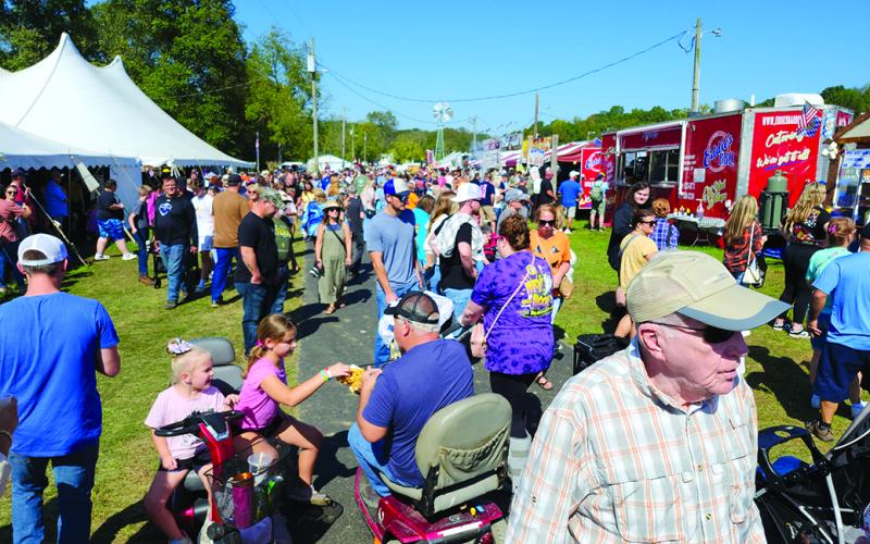 Crowds flocked to the 2024 Kentucky Wool Festival. Photo by Burton Cole.