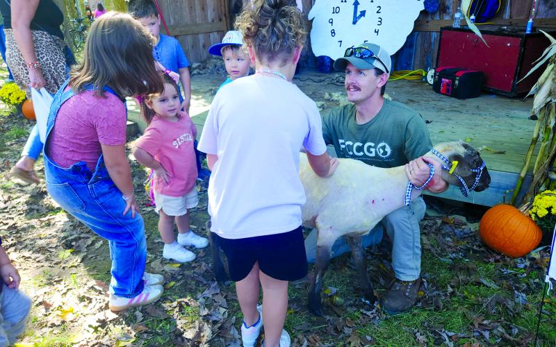 Kids pet a freshly sheared sheep during the 2024 Kentucky Wool Festival. The 2025 edition of the festival begins Friday. Photo by Burton Cole.