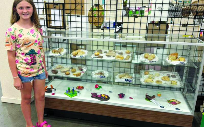 Brinley Babb scored a blue ribbon with her 4-H Foods project with oatmeal muffins and a white award with coffee cake and topping.