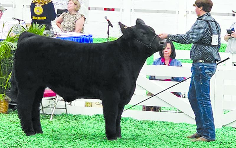 Ryland Hart placed third overall in the Simmental beef class.