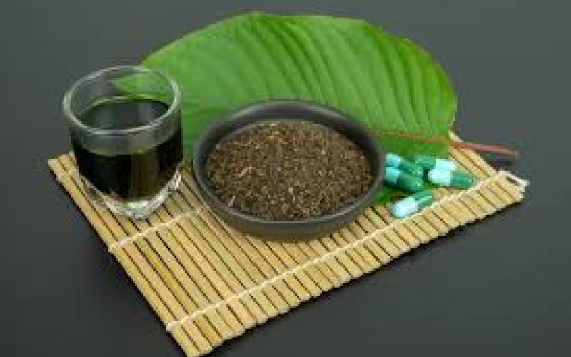 Kratom stock photo