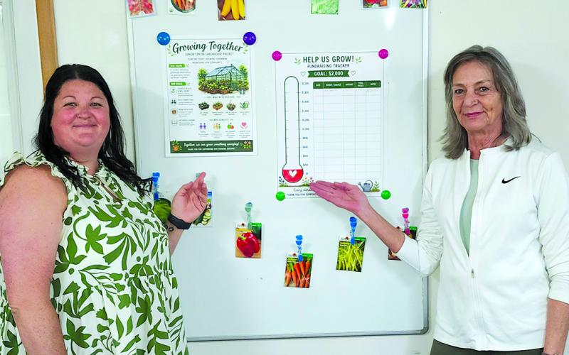 Pendleton County Senior Center Manager Kristy Sturgill, left, and Activity Director Ronda Ehrich are banking on this weekend’s Pendleton County-Wide Yard Sale will give a big boost to the center’s “From Seed to Table: Greenhouse for Healthy Aging” project. Photo by Burton Cole.