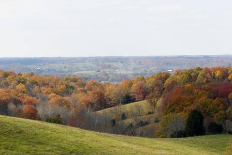 Fall Valley Lisa Arnold 