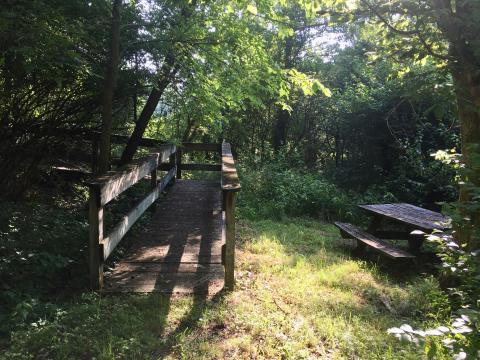 Sharp MIddle School trail