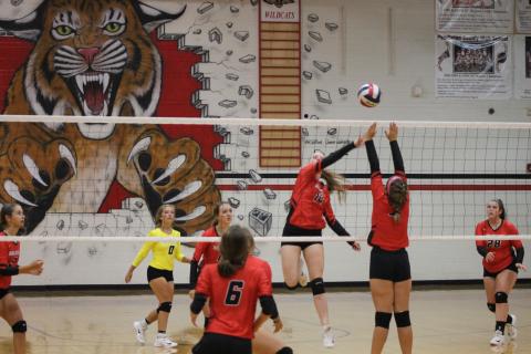 Ladycat Volleyball