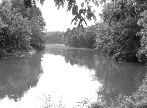 Kincaid