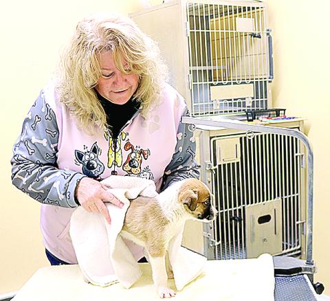 animal shelter