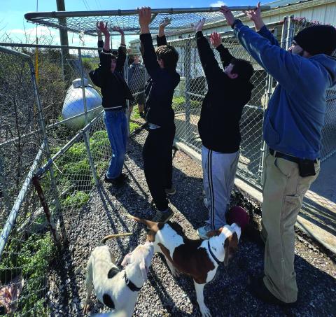 Currently, the shelter has 14 dogs who need homes. Please contact the shelter at 859-654-5400, or see Facebook for pictures and stats on available dogs.