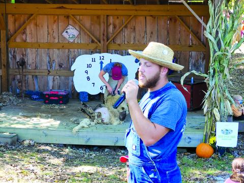 Joshua Trimboli explains the art of sheep shearing.
