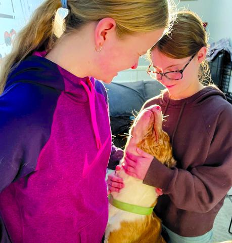Sharp Middle School students Anna Hegyi and Kendall Cummins, members of the school Family, Career and Community Leaders of America club, play with Scribbles, one of the residents of the Pendleton County Animal Shelter awaiting adoption. The girls spearheaded a project to make toys for the dogs at the shelter. Photo by Nila Harris
