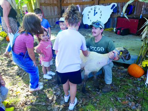 Kids pet a freshly sheared sheep during the 2024 Kentucky Wool Festival. The 2025 edition of the festival begins Friday. Photo by Burton Cole.