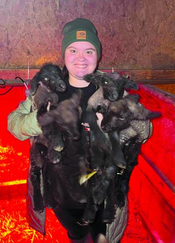 Lindsay Arkenau has her arms full as she bundles up quadruplet lambs born Dec. 19 on the Kirsch Family farms. The rare treat was the first set of quadruplets born to the Kirsch Family in Peach Grove. Photo by Nila Harris.