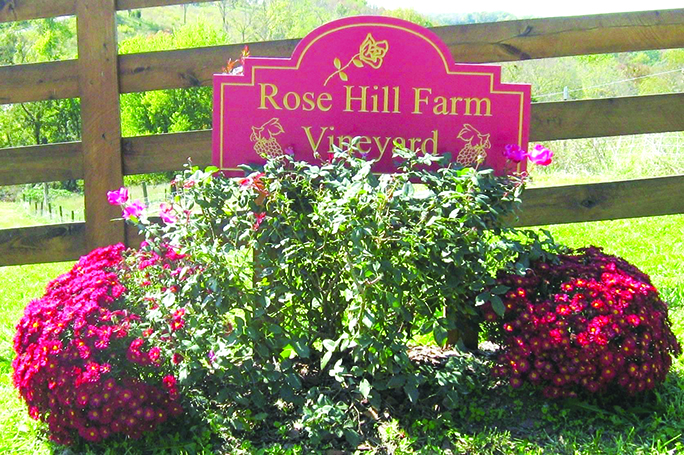 Rose Hill Farm is a small winery off State Route 177 at Bethel Hill. has been a licensed winery since 2010. They began the venture in 2006 by planting their first grapes, and they kept adding to the vineyard. Today, they boast about 1,500 vines. Photo courtesy of Rose Hill.
