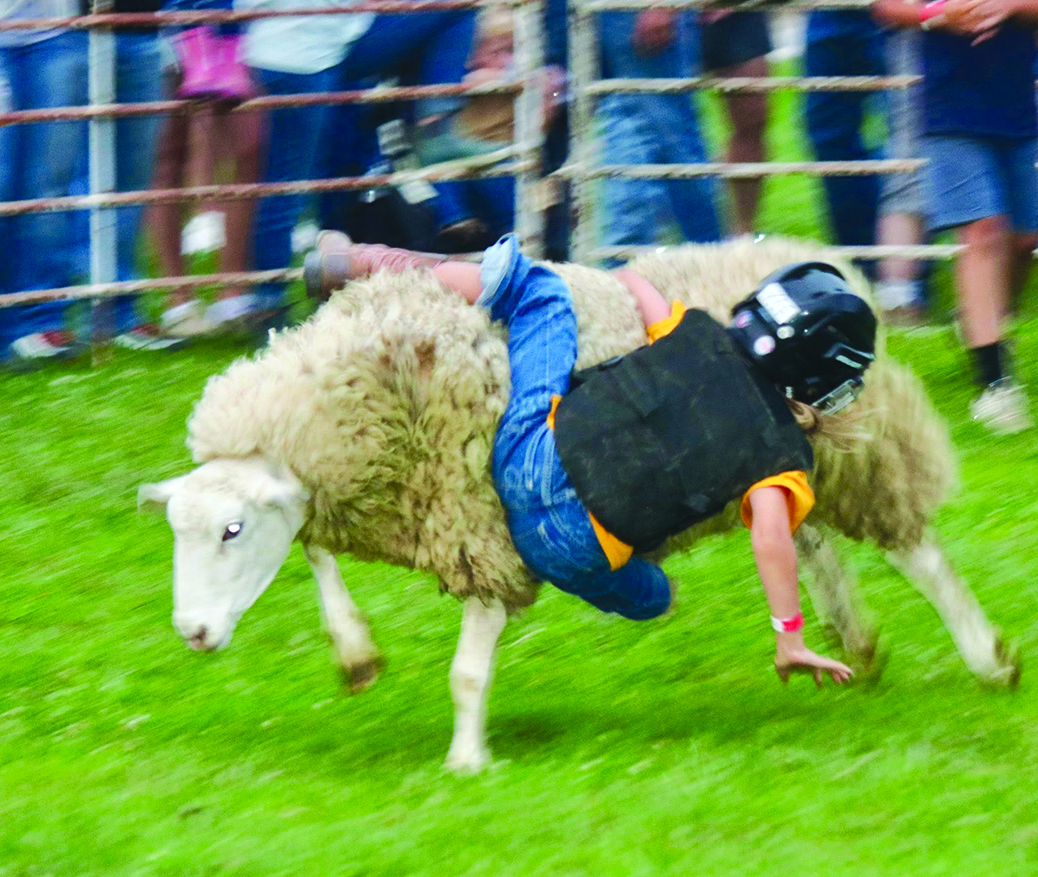 Another rider takes a tumble in the popular annual Mutton Bustin’ competition.